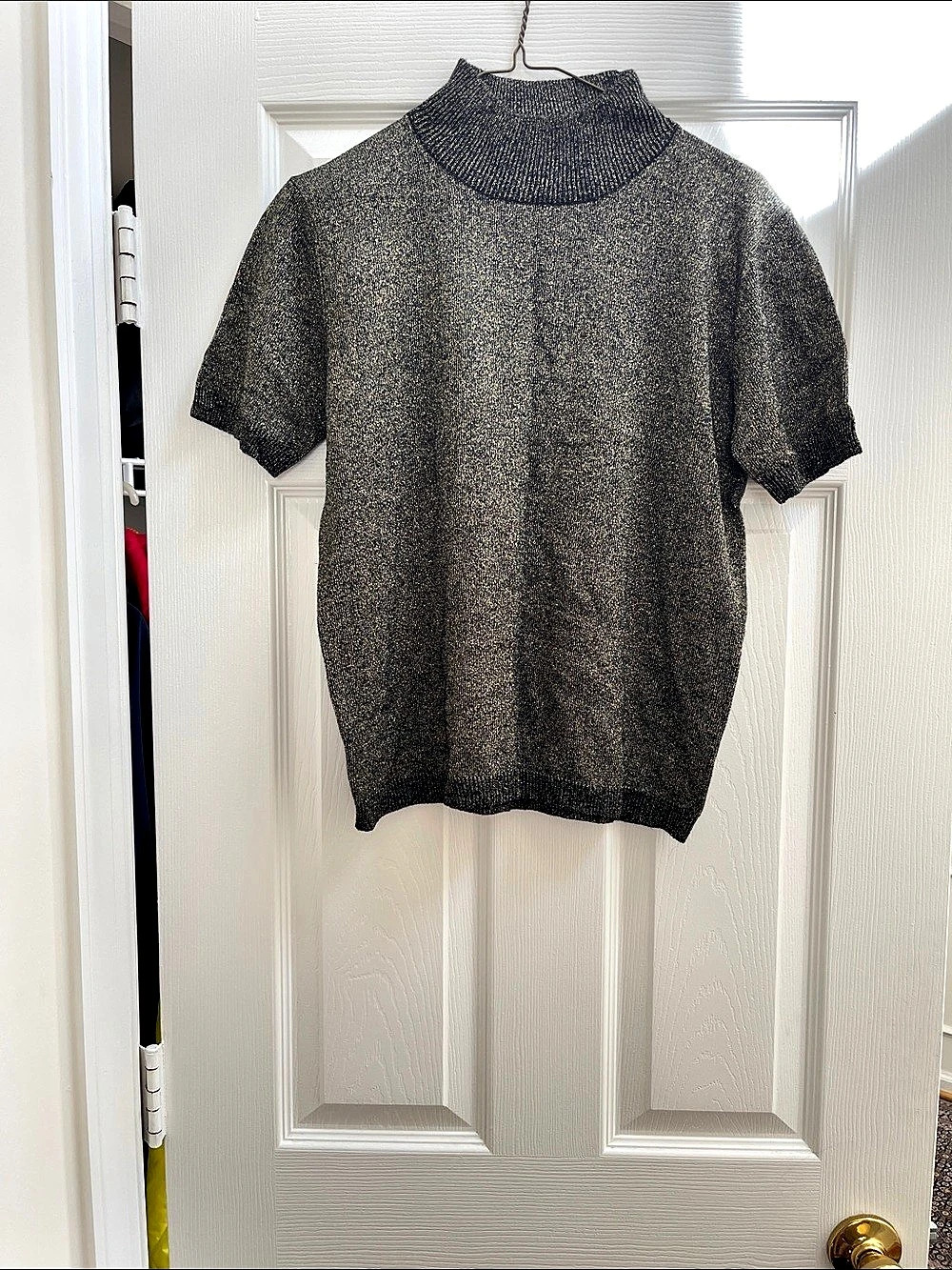 Short Sleeve Turtleneck in Gray Like New